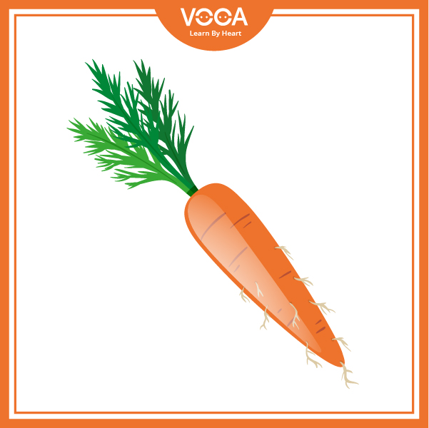 carrot