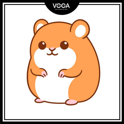 hamster