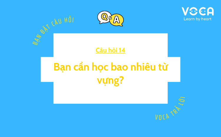 Câu hỏi 14: Bạn cần học bao nhiêu từ vựng?