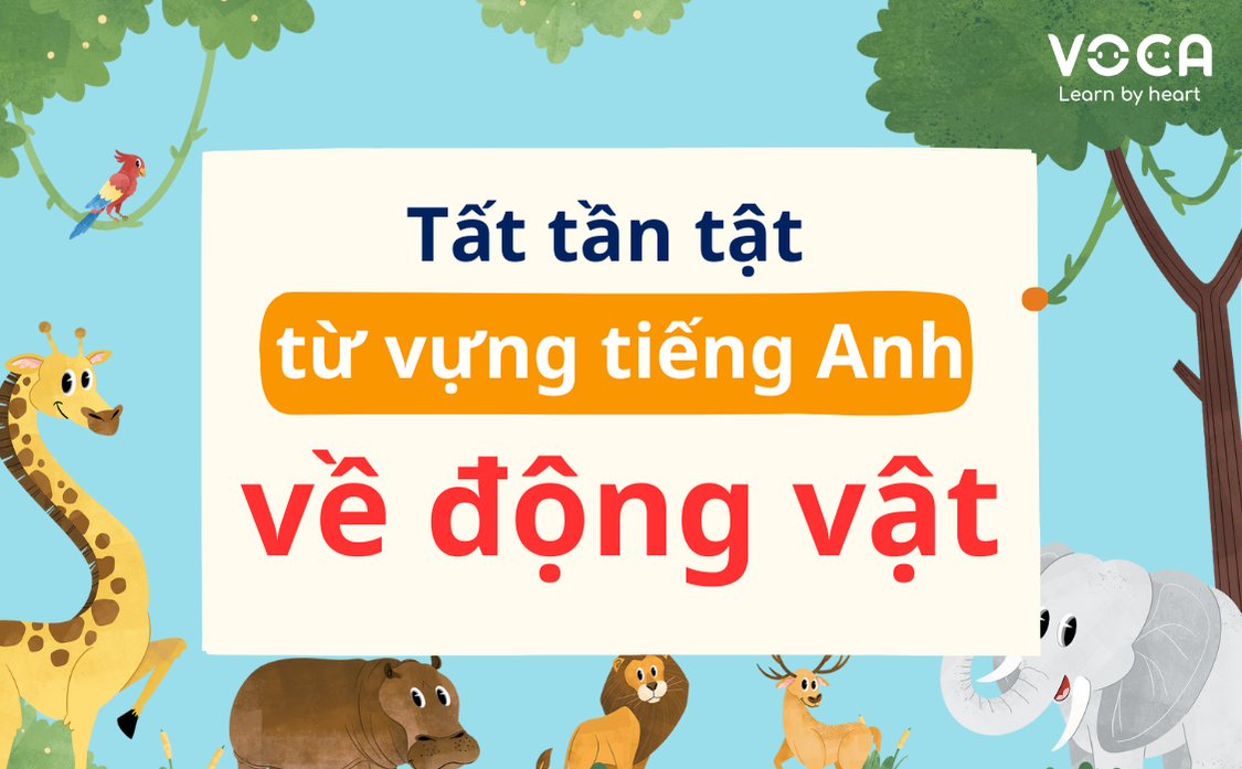 Tất tần tật từ vựng tiếng Anh về chủ đề Động vật đầy đủ nhất