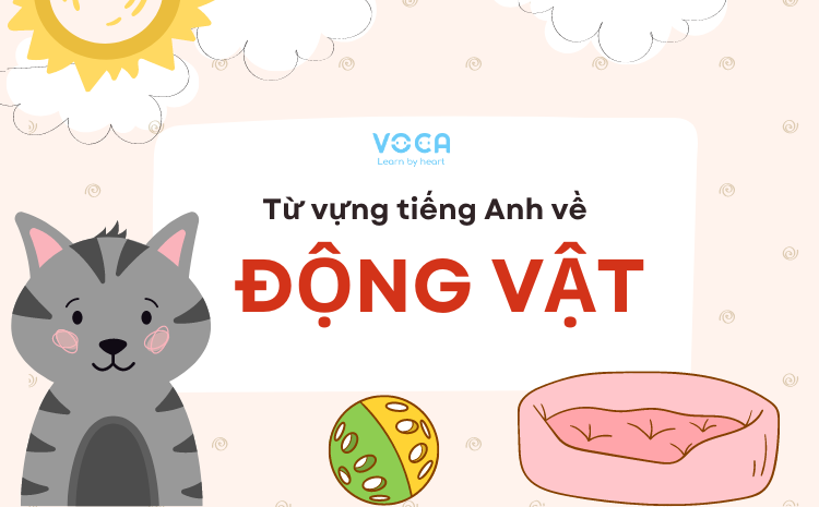 Trọn bộ từ vựng tiếng Anh về động vật thông dụng (có Flashcards)