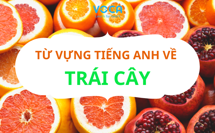 Từ vựng tiếng Anh về Trái cây (Có Flashcards)